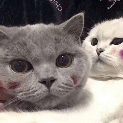 萌宝 情侣 一对