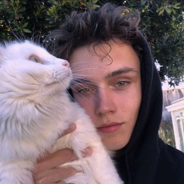 安琪拉：精选优质欧美男生头像