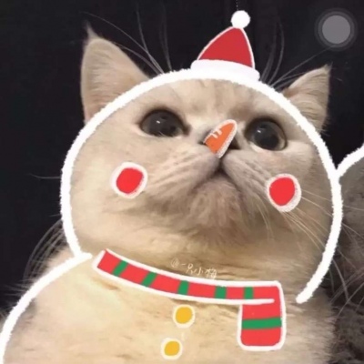 萌宠情头 圣诞节
