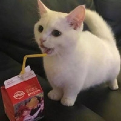 沙雕情头，要不要换一个对像呐ฅ ̳͒•ˑ̫• ̳͒ฅ♡茜茜出版，必为沙雕