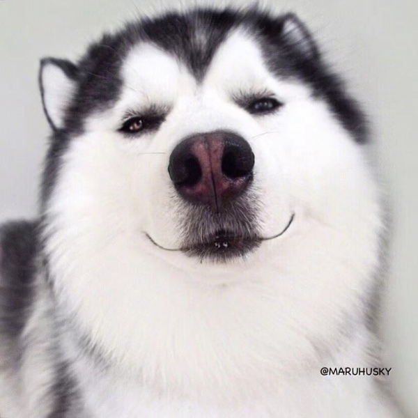 “我漂亮吗阿汪”