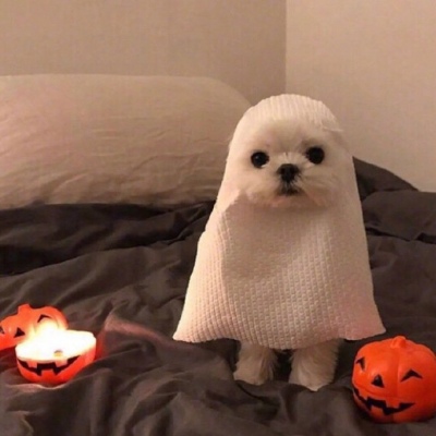 情侣头像  可盐可甜可沙雕。