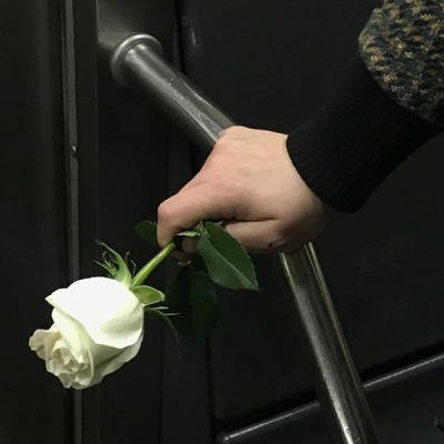 苏瓷:部位头像（手 花 颜色 手持物 部位）