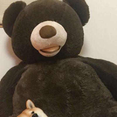 ɠʑƈ情头/柴柴与熊熊/女孩子 不要被廉价的语言所感动 毕竟说话不需要成本