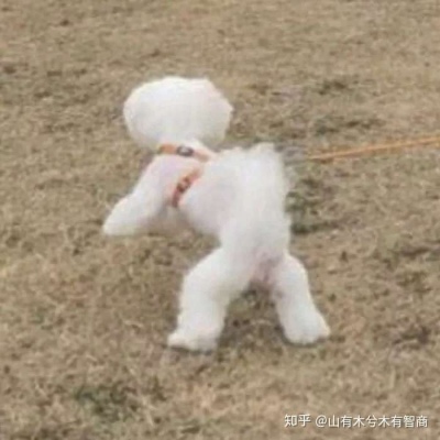 小可爱沙雕头像三组