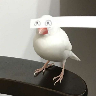 多人团队沙雕头像