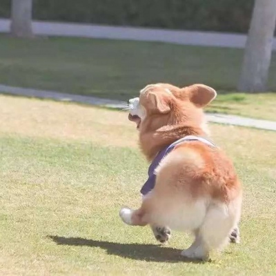 不是人系列情头?