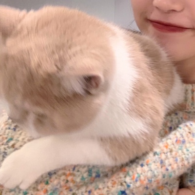 祁岑｜情侣头像男生不是人是娃娃动物的头像