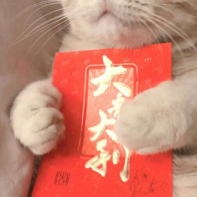 一对两张可爱搞怪的情侣狗头/猫咪系列