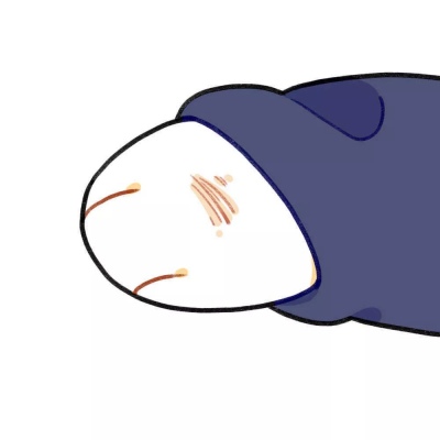 遇见你开始，眉眼弯弯，星河皆你。春风十里不如你，梦里梦外都是你。