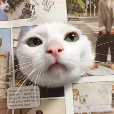 每个人心中 只有一个宝贝