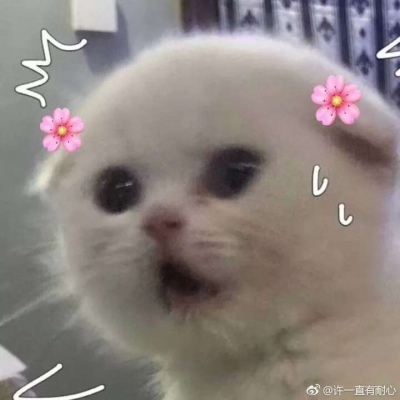 晚什么安我巴不得你想我想的夜不能寐