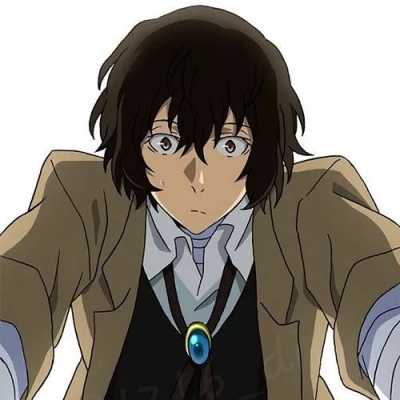 文豪野犬#优质#男#动漫