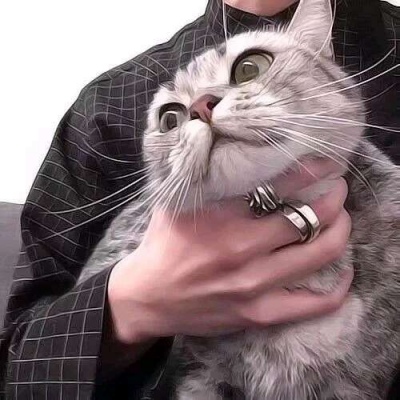 个性高冷男头  玩网  丧