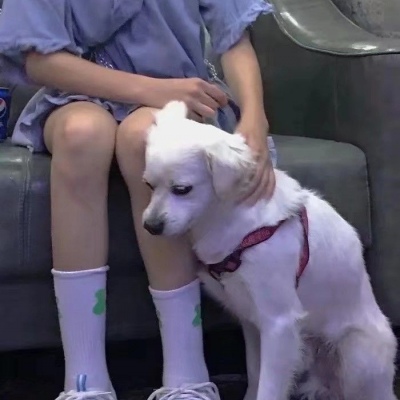 林梓熙.///也许会有遗憾吧 那么喜欢却不能拥有.