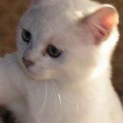 闺蜜搞笑头像♥