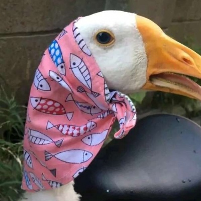 闺蜜头像——可爱到起飞