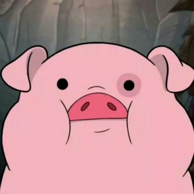 小猪在吗