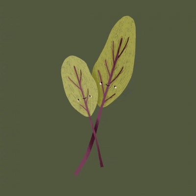 蔬菜插画头像 |艺术家Lenja Lorkowski笔下的可爱蔬果插画