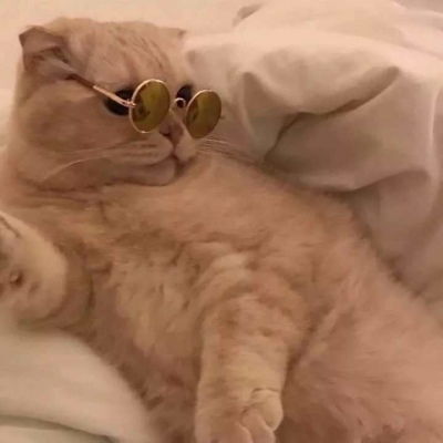 国际经济与贸易