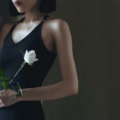 苏柒:背景图/一个华丽短暂的梦