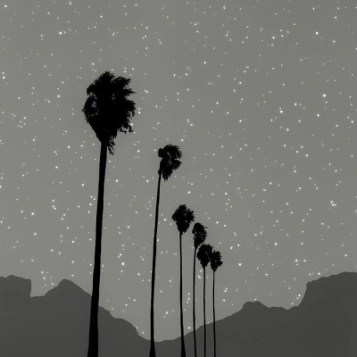 白灏宇:风景静物头像/唯美/满天繁星/我本能忍受黑暗，如果不曾见过光。