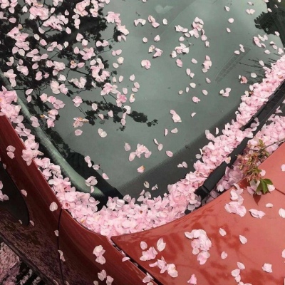 背景图 | 比不了的就不比 得不到的就不要