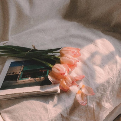 白灏宇:风景静物头像/唯美/花朵/家居/平安喜乐，得偿所愿