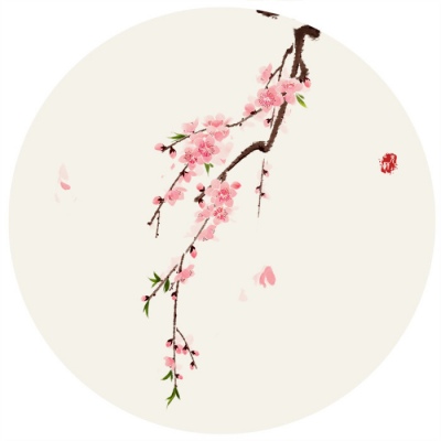 白灏宇:风景静物头像/唯美/花朵/人生当苦无妨，良人当归即好