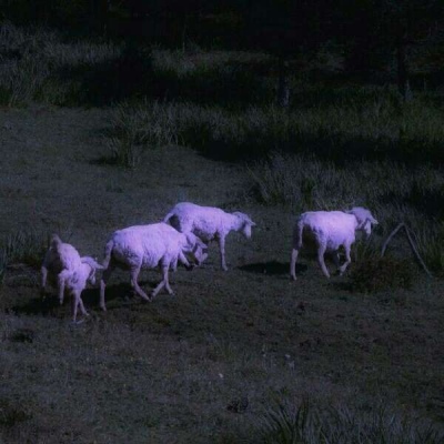 背景图：被窝是天堂在人间开的分店 ​