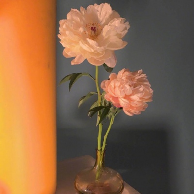 唯美鲜花背景，头像