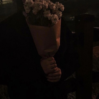 花朵专辑风景静物背景图  卿似人间烟花 君如世间惊鸿