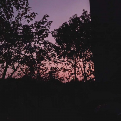 皆是我所认为美丽的风景....