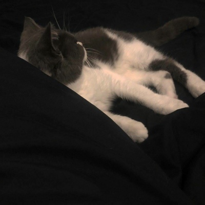 苏瓷:黑色系背景（压抑感 黑色 成熟 高冷 时尚）