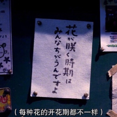 白灏宇:风景静物头像/唯美/字/生如夏花之绚烂，死如秋叶之静美