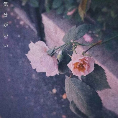白灏宇:风景静物头像/唯美/花朵/爱自己是终身浪漫的开始