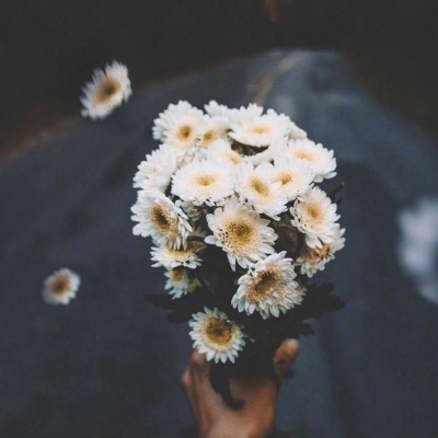 花花背景图  有些人是山川是河流，唯独不是可停泊的港口  易卿飒