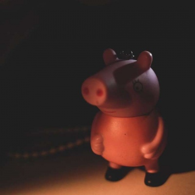 背景图／夜晚突然有个想养猪的梦