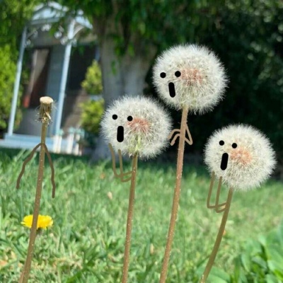 北笙:风景静物头像/唯美/可爱/你是我的恒星，而我却离你几万亿年光景