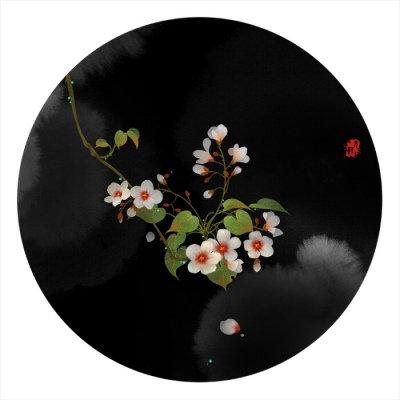 白灏宇:风景静物头像/唯美/花朵/你的一句先生，胜过世间万分美好