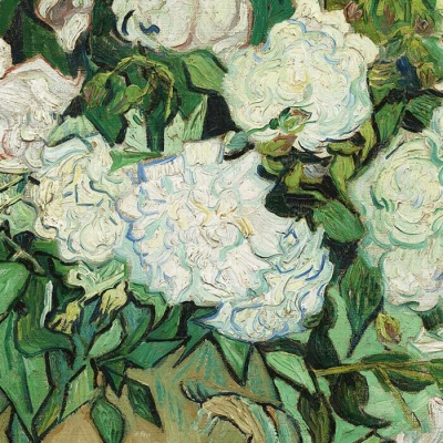 白灏宇:风景静物头像/唯美/花朵/梵高/惊鸿难抵梦重重.