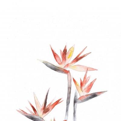 水墨画/看清这个世界，然后爱它。