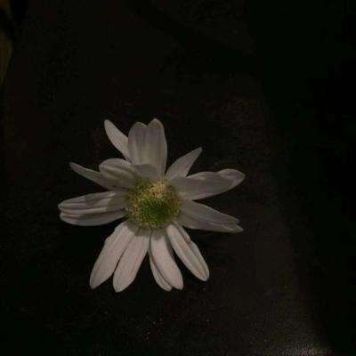 女生头像  你以为你是谁？