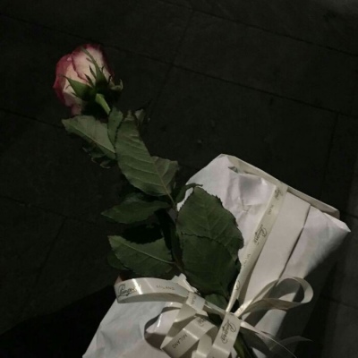 陈情｜暗黑系背景图 上了生活的贼船 就做快乐的海盗 ‍