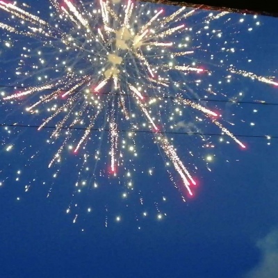 知晚^      （烟花）十里寒塘路?烟花一半醒