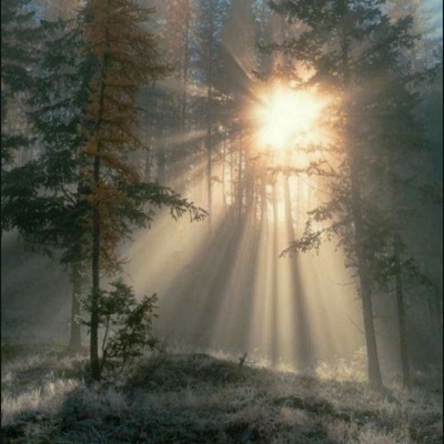 背景图/文字/卡通