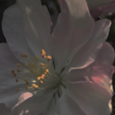 允言/风景静物头像   左右心动