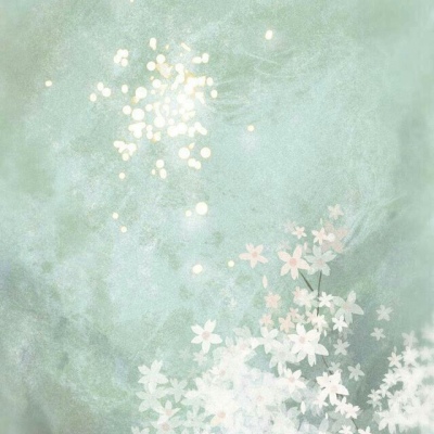 干净  为什么最迷人的最危险  易卿飒