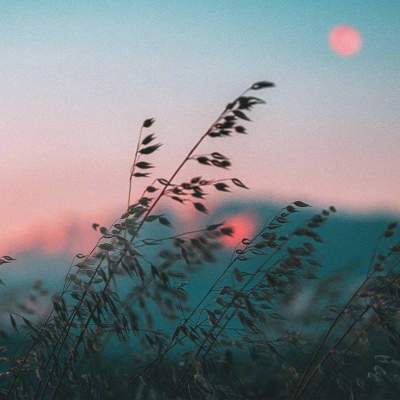 我走向了你，暮色千里是我的见面礼