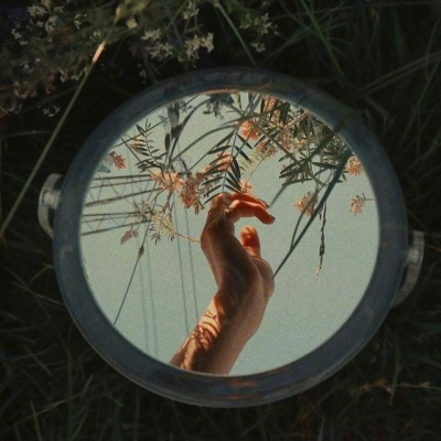 苏瓷:唯美意境背景（花 风景 意境 文艺 ）